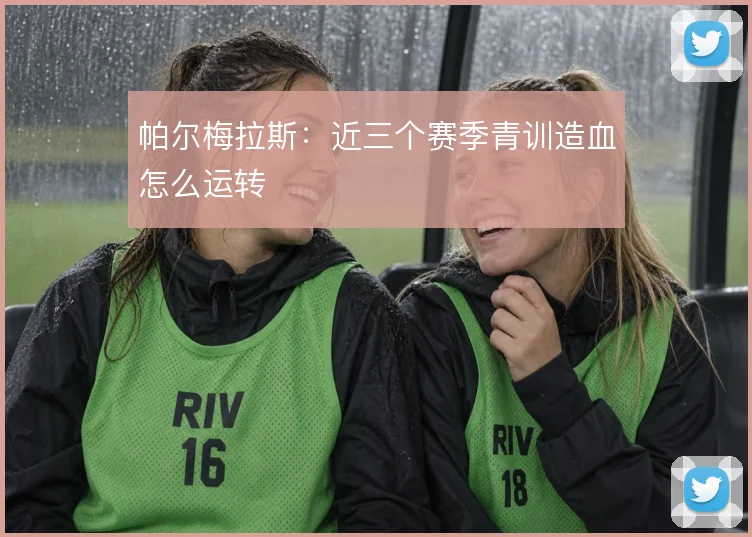 帕尔梅拉斯：近三个赛季青训造血怎么运转